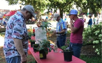 From milkweed to the musk thistle, Iowans can demonstrate their weed IQ